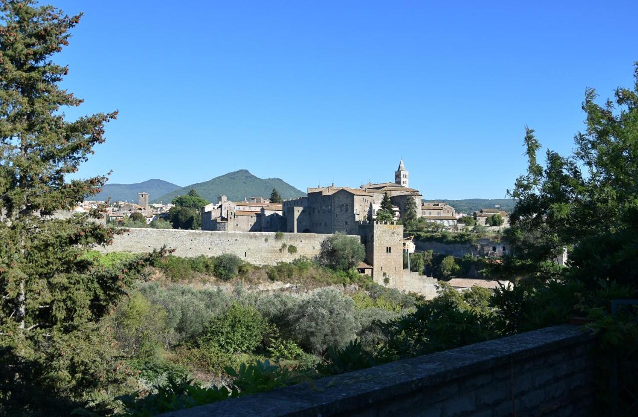 La Finestra Di Umberto Vicino Al Centro Con Parcheggio Privato Bed & Breakfast Viterbo Exterior photo